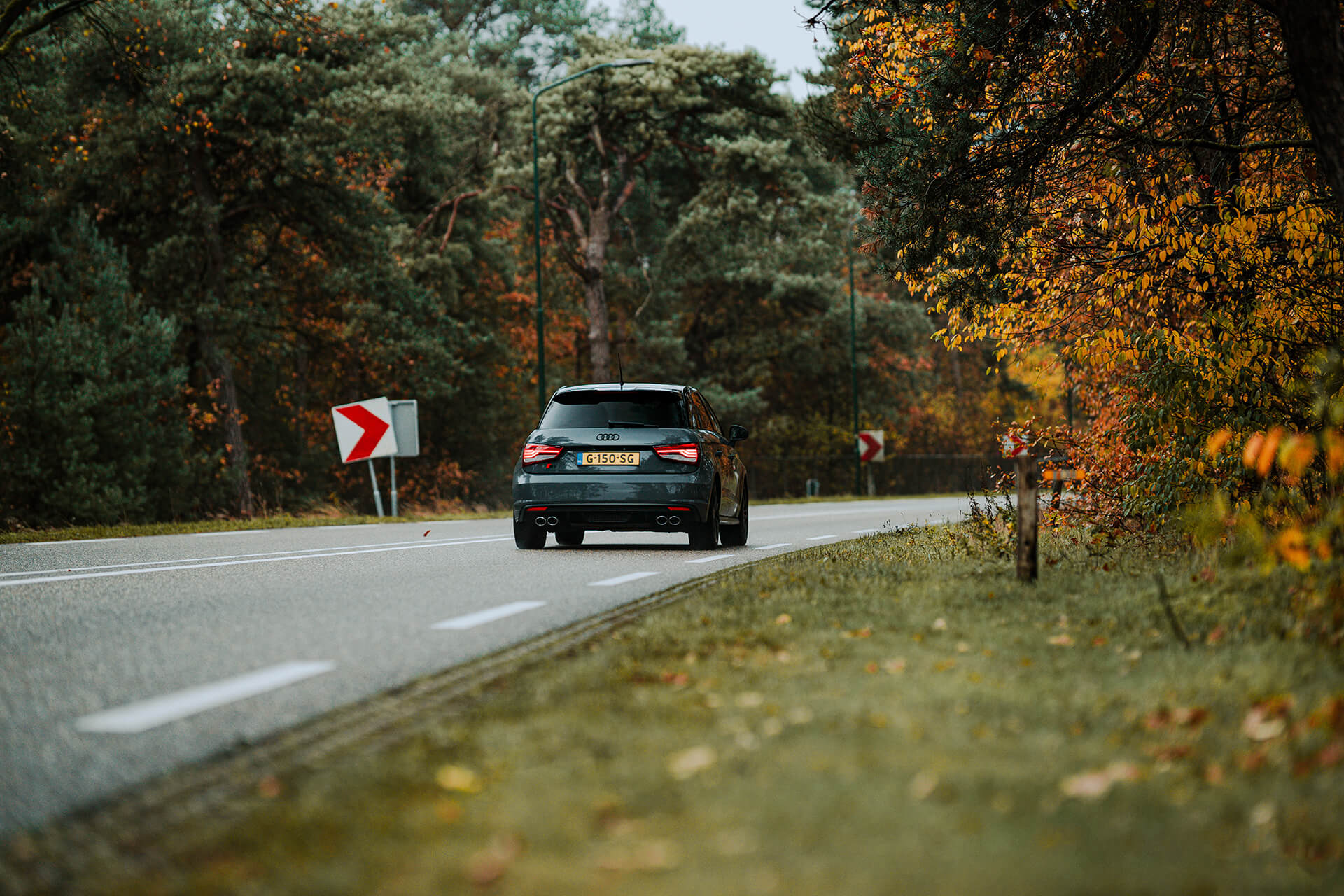 DDC Opening Tour 2026